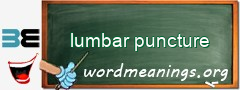 WordMeaning blackboard for lumbar puncture